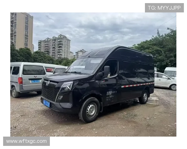 10-20万最值得买的大VAN！东风御风V9+：能装能跑更省油