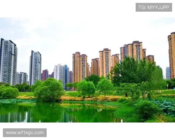 10年后，衡水房价会跌至20、30万一套吗？