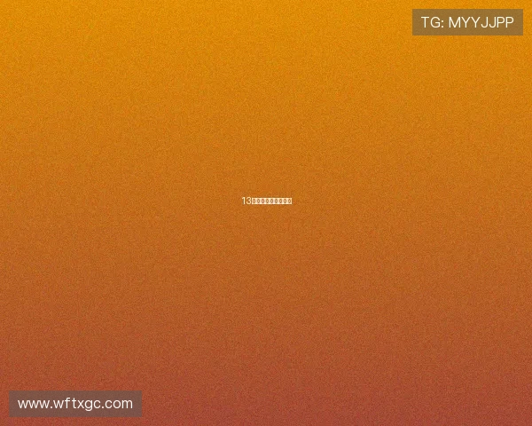 13款速派的第二小青春